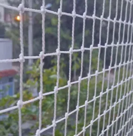 Pigeon Netting Services